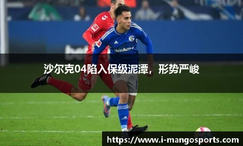 芒果体育官网入口